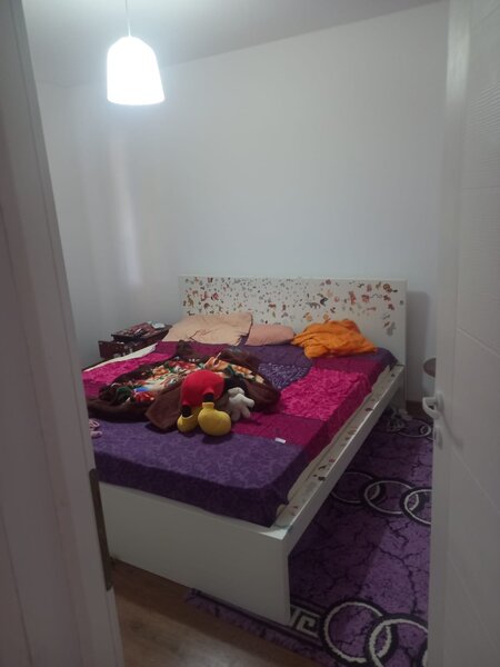 Magurele Ilfov, Alunis