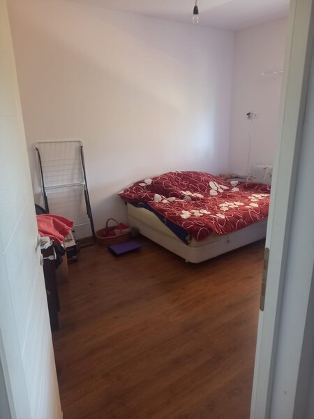 Magurele Ilfov, Alunis