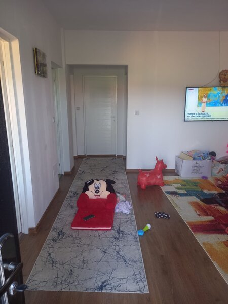 Magurele Ilfov, Alunis