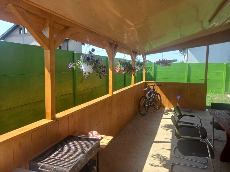 Magurele Ilfov, Alunis