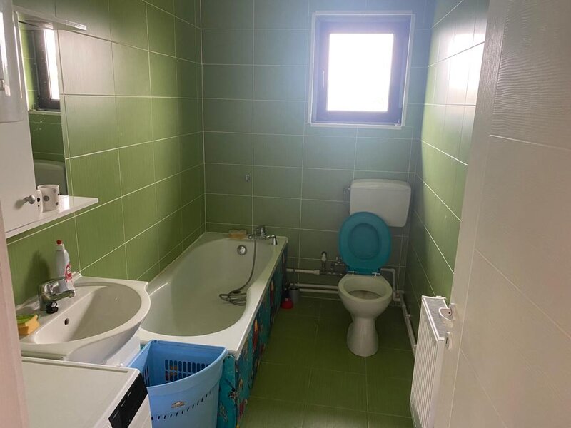 Magurele Ilfov, Alunis