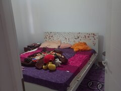 Magurele Ilfov, Alunis