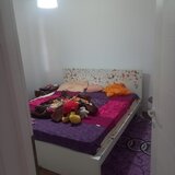 Magurele Ilfov, Alunis